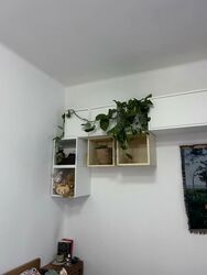 Tiong Bahru Estate (D3), Apartment #597072131